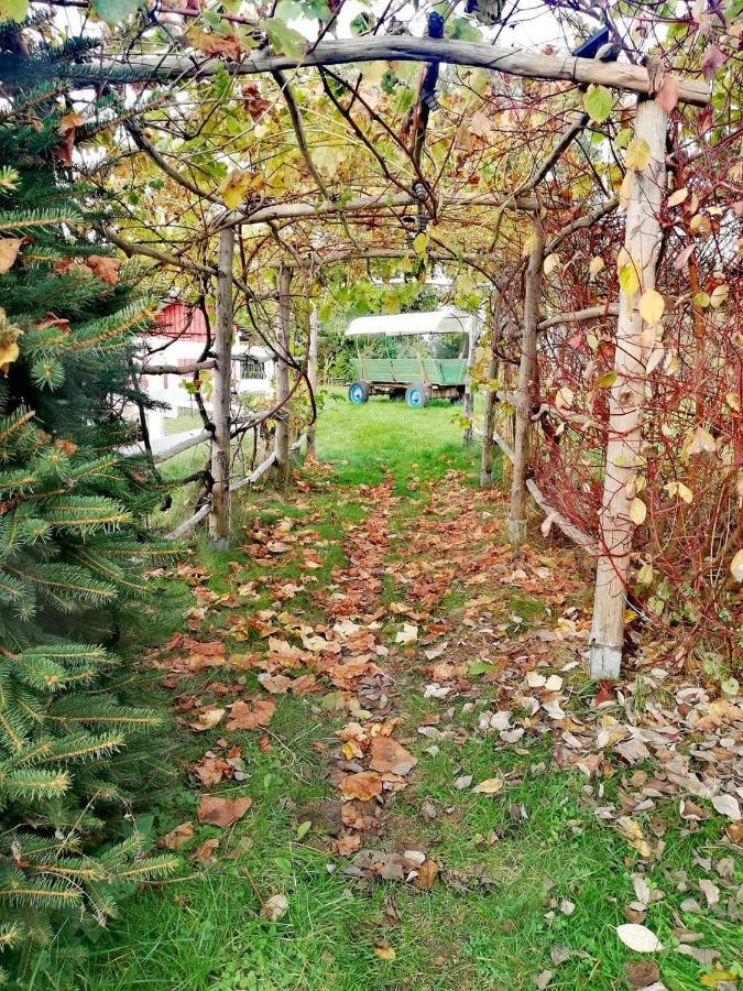 Babie Lato Villa Wlodarka Kültér fotó